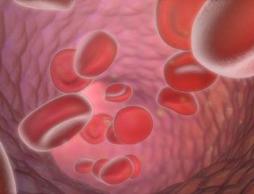 [Interview] “아! 이게 혈관속 혈구세포…뭐가 이렇게 아름다워”(라포르시안)