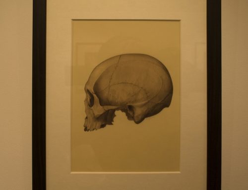 Anatomy Drawing_Group exhibition
